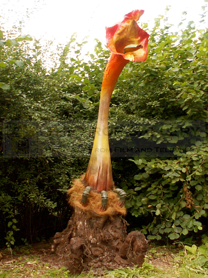 The Prop Gallery The Day of the Triffids () - Full size The Prop Gallery The Day of the Triffids () - Full size